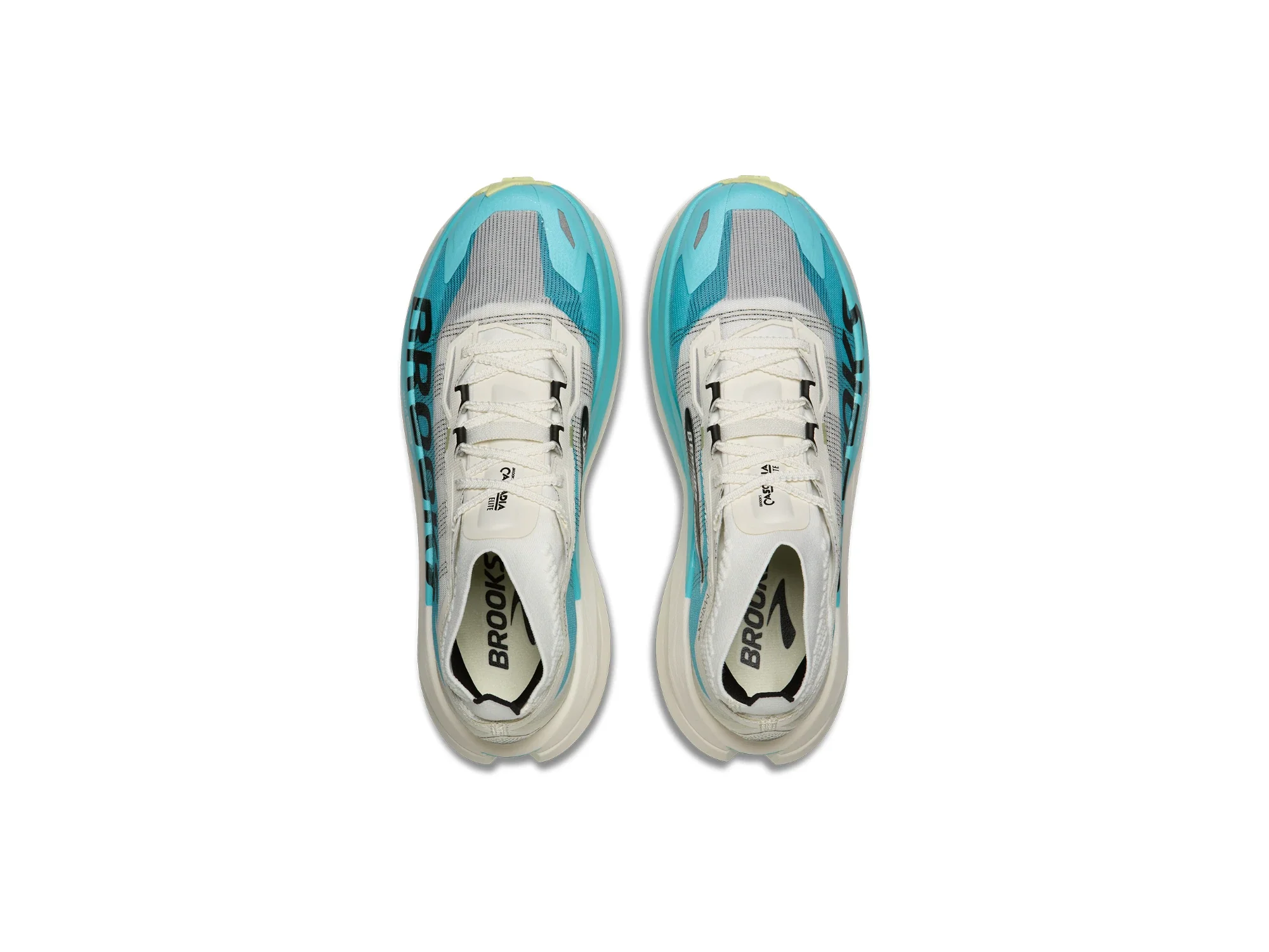 Cascadia Elite - Image 5
