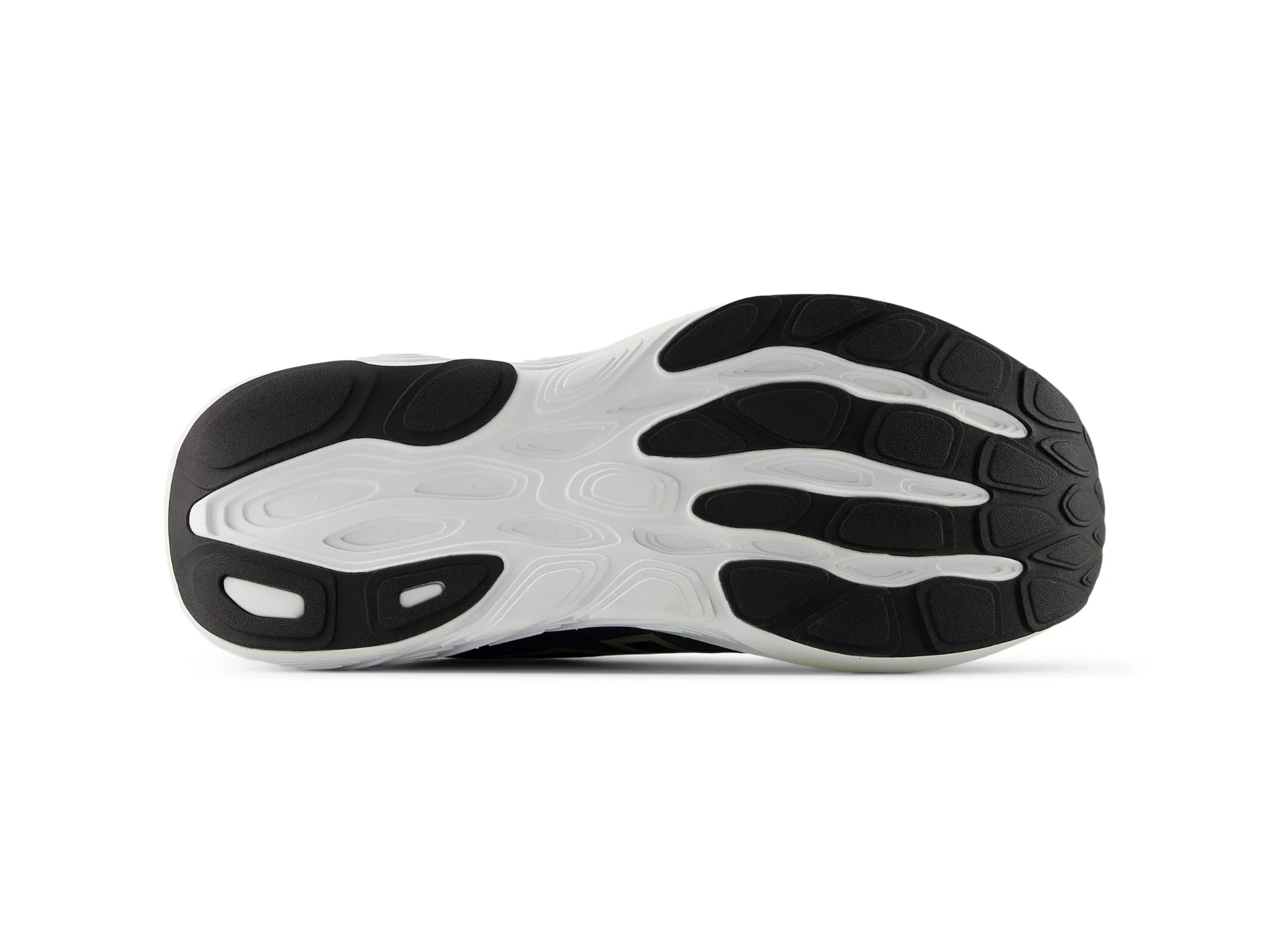 Fresh Foam 880v15 D - Image 5